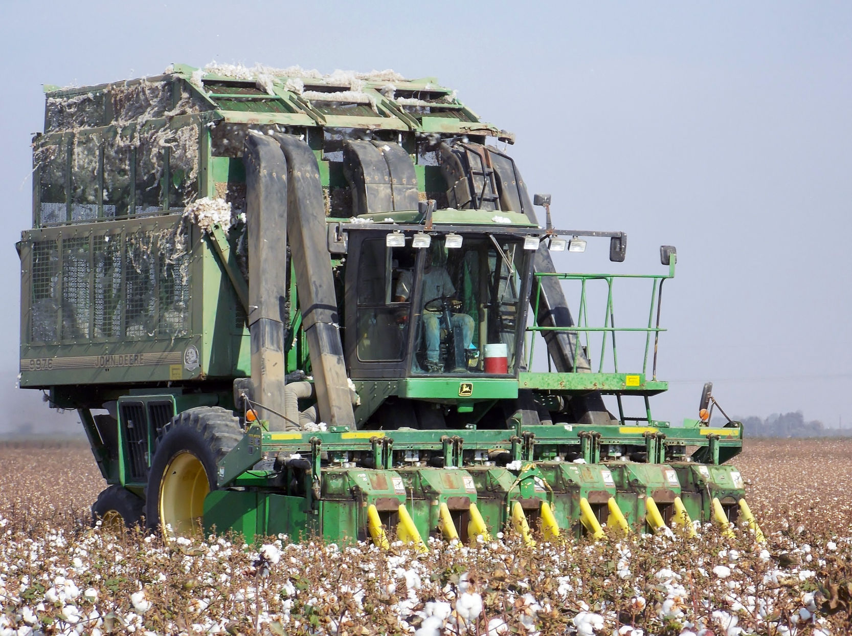 The Tulare County cotton harvest is in full swing as growers rush to beat the upcoming rainy season. Cotton has seen a resurgence this year because of the abundance of irrigation water available and good prices. This photo was taken off of Road 168.